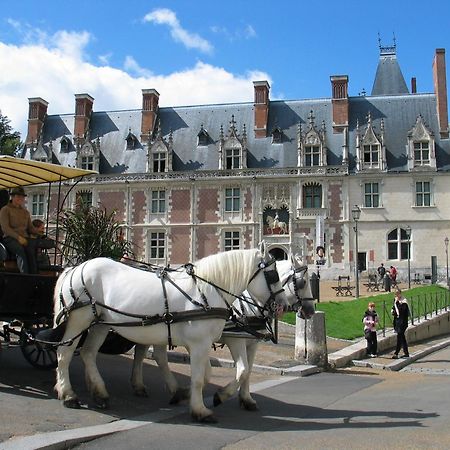 Blois City - Le Petit Saint Jean Ngoại thất bức ảnh