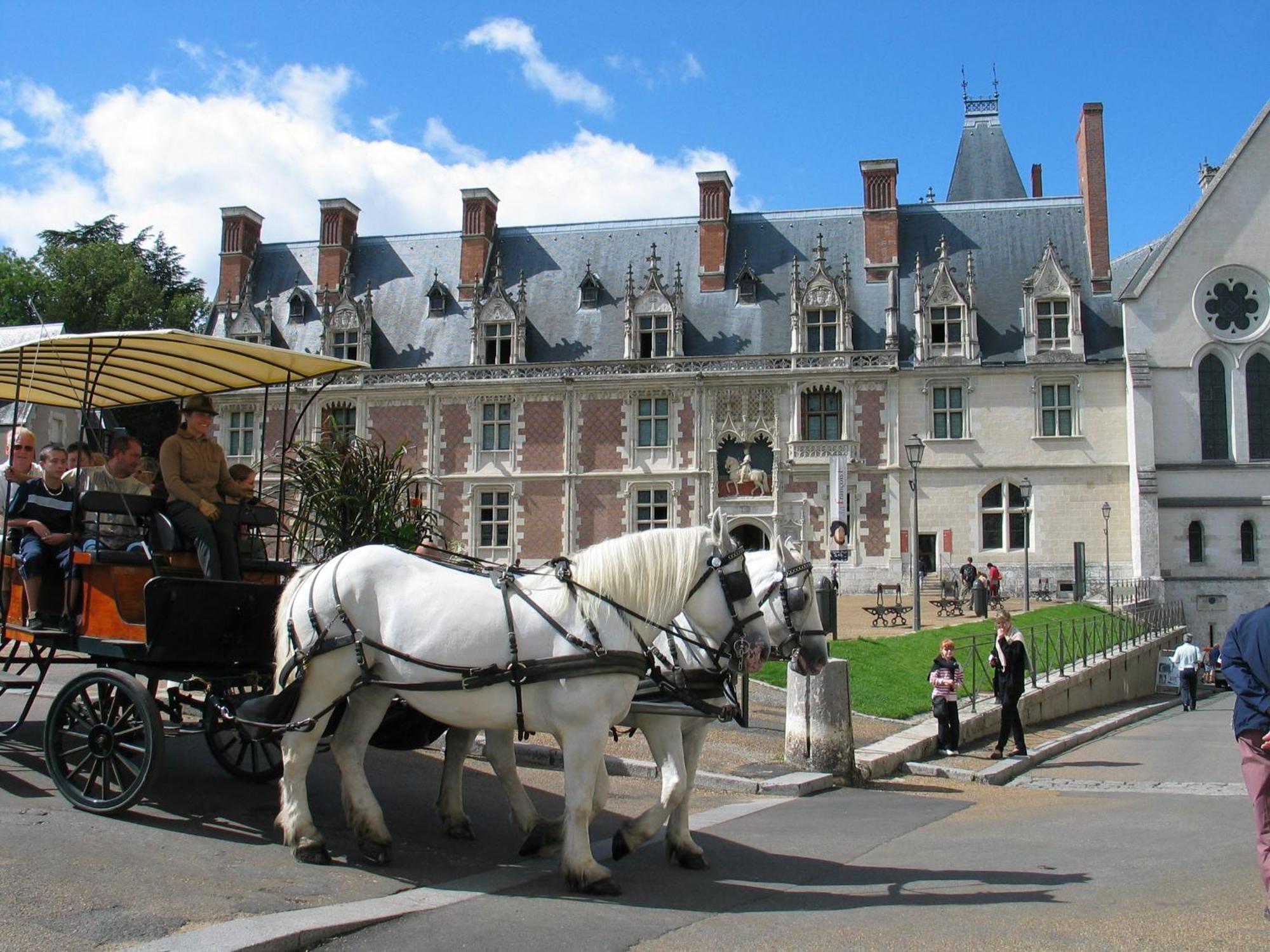 Blois City - Le Petit Saint Jean Ngoại thất bức ảnh