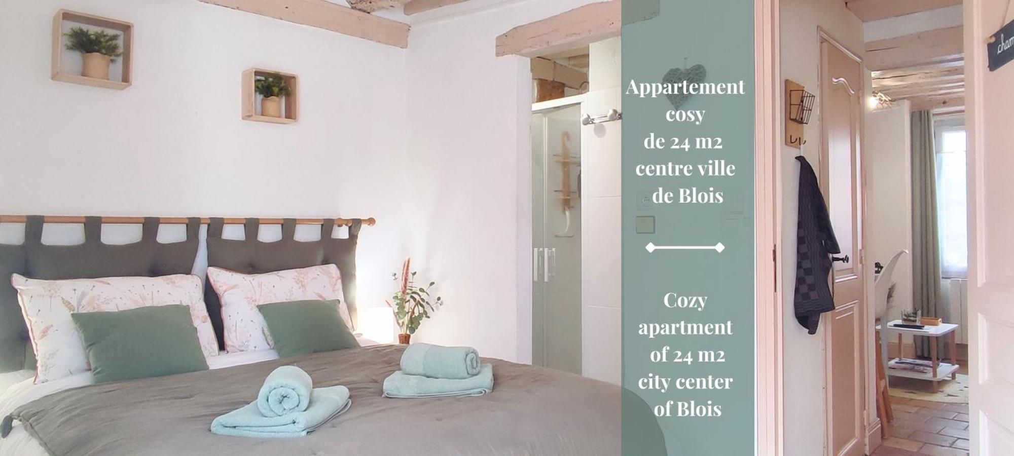 Blois City - Le Petit Saint Jean Ngoại thất bức ảnh